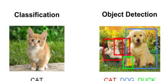 Deep Learning with Robolink Object Detection App Object detection