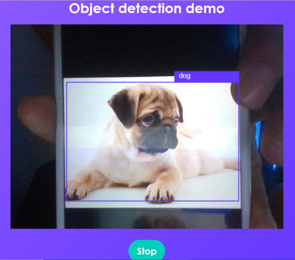 Object detection dog